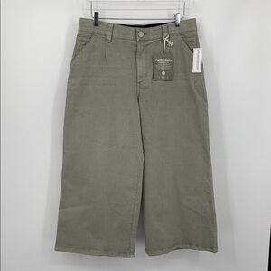 Democracy wide leg cropped pants jeans sage green stretch Ab technology new 12